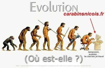 images-evolution_homme-img.jpg