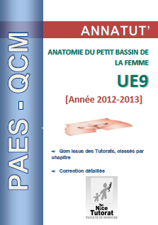 Annatut' UE9-Anatomie du petit Bassin de la femme.png