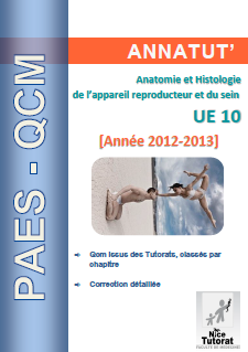 Annatut' UE10-Anatomie et histologie de l'appareil reproducteur et du sein.png