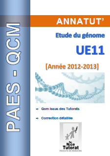 Annatut' UE11-Etude du génome.png