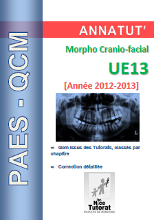 Annatut' UE13-Morpho Cranio facial.png