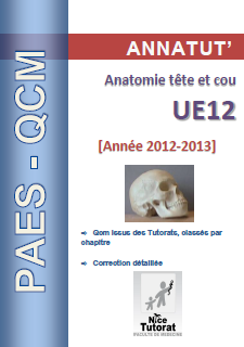 Annatut' UE12-Anatomie Tête et cou.png