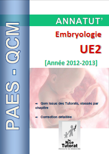 Annatut' UE2-Embryologie.png