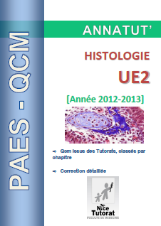 Annatut' UE2-Histologie.png