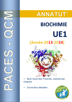 Annatut' UE1 - Bioch.png