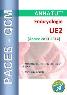 Annatut' UE2 - Embryo.PNG