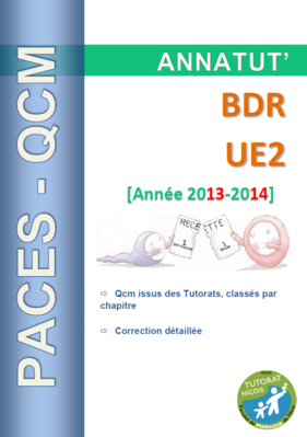 Annatut' UE2 - BDR.PNG