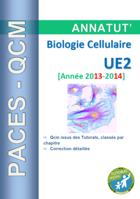 Annatut' UE2 - Biocell.PNG