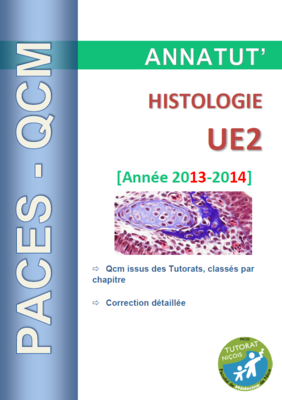 Annatut' UE2 - Histo.PNG