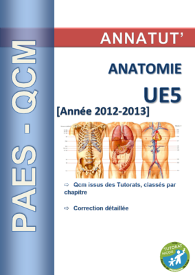UE 5 (page de garde 2012-2013).PNG
