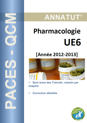 UE 6 (page de garde 2012-2013).PNG