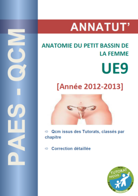 UE 9 (page de garde 2012-2013).PNG
