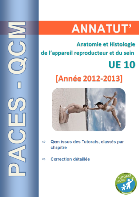 UE 10 (page de garde 2012-2013).PNG