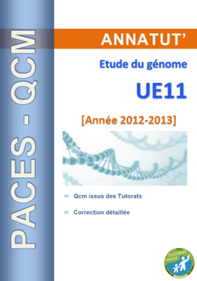 UE 11 (page de garde 2012-2013).PNG