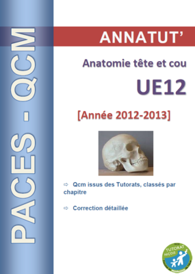 UE 12 (page de garde 2012-2013).PNG
