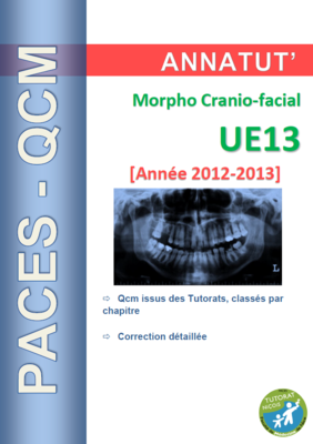 UE 13 (page de garde 2012-2013).PNG