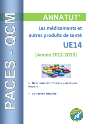 UE 14 (page de garde 2012-2013).PNG