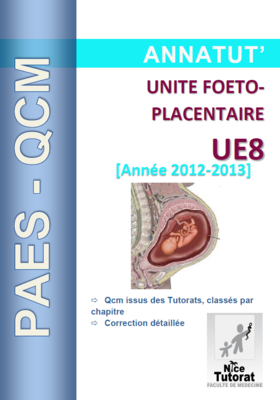 UE 8 (page de garde 2012-2013).PNG