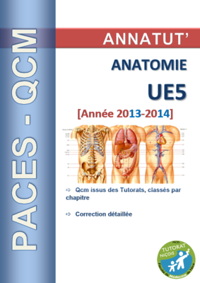 UE 5 (page de garde 2013-2014).PNG