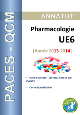 UE 6 (page de garde 2013-2014).PNG