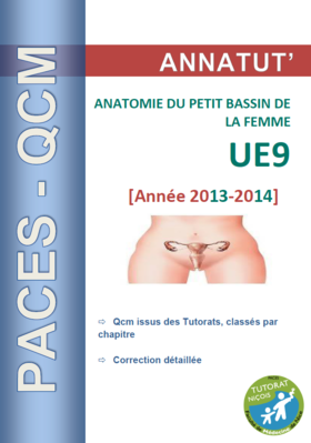 UE 9 (page de garde 2013-2014).PNG