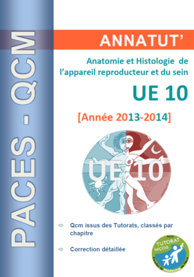UE 10 (page de garde 2013-2014).PNG