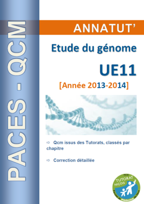 UE 11 (page de garde 2013-2014).PNG