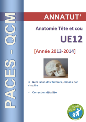 UE 12 (page de garde 2013-2014).PNG