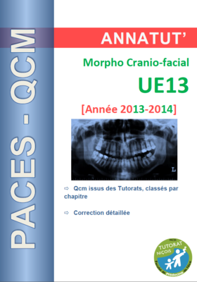 UE 13 (page de garde 2013-2014).PNG