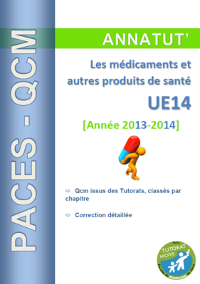 UE 14 (page de garde 2013-2014).PNG