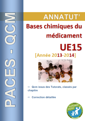 UE 15 (page de garde 2013-2014).PNG