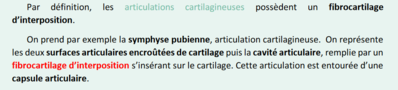 articulation cartilagineuse.png