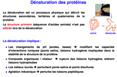Capture d’écran 2012-11-30 à 11.33.55.png