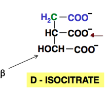 Capture d’écran 2012-12-05 à 22.36.11.png