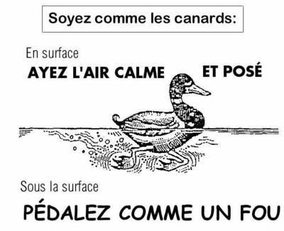 Capture d’écran 2012-12-09 à 06.57.52.png