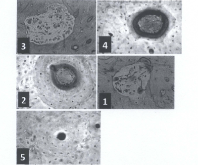 Capture d’écran 2012-12-11 à 21.20.51.png