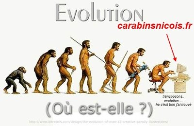 images-evolution_homme-img.jpg