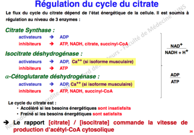 Capture d’écran 2012-12-12 à 23.06.44.png