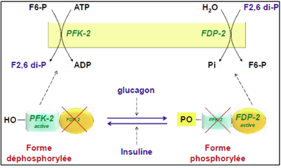 Capture d’écran 2012-12-16 à 22.12.55.png