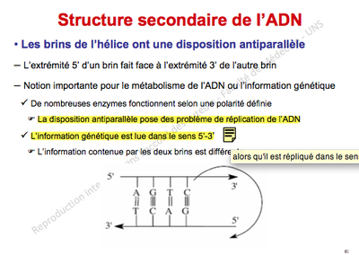 Capture d’écran 2012-12-19 à 00.05.28.png
