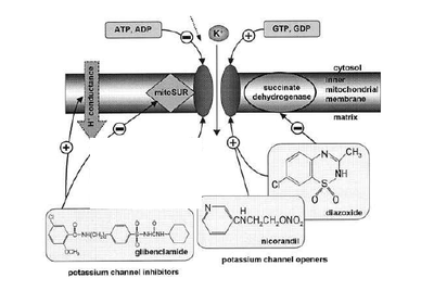 Capture d’écran 2013-01-10 à 17.25.31.png