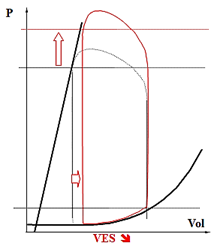 Augmentation PTS.PNG