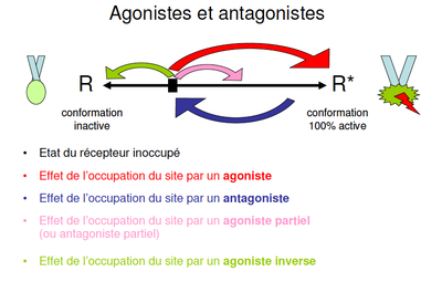 Capture d’écran 2013-01-26 à 15.26.13.png