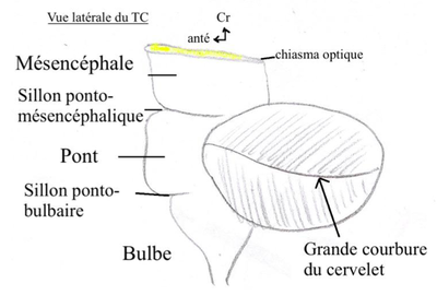 Capture d’écran 2013-01-31 à 14.27.30.png