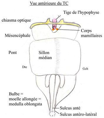 Capture d’écran 2013-01-31 à 14.27.41.png