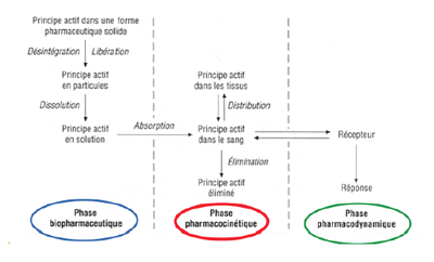 Capture d’écran 2013-02-05 à 21.52.26.png