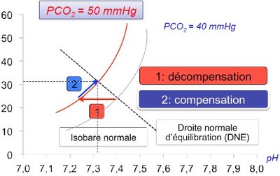 acidose respi poly.jpg