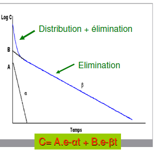 demi vie distribution.PNG