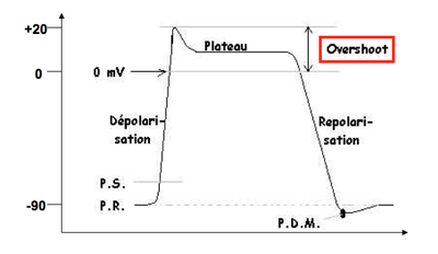 Capture d’écran 2013-02-15 à 21.49.25.png