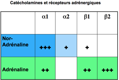 Capture d’écran 2013-02-19 à 18.00.21.png